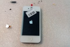 iPhone5(5)