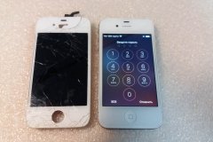 iPhone5(6)